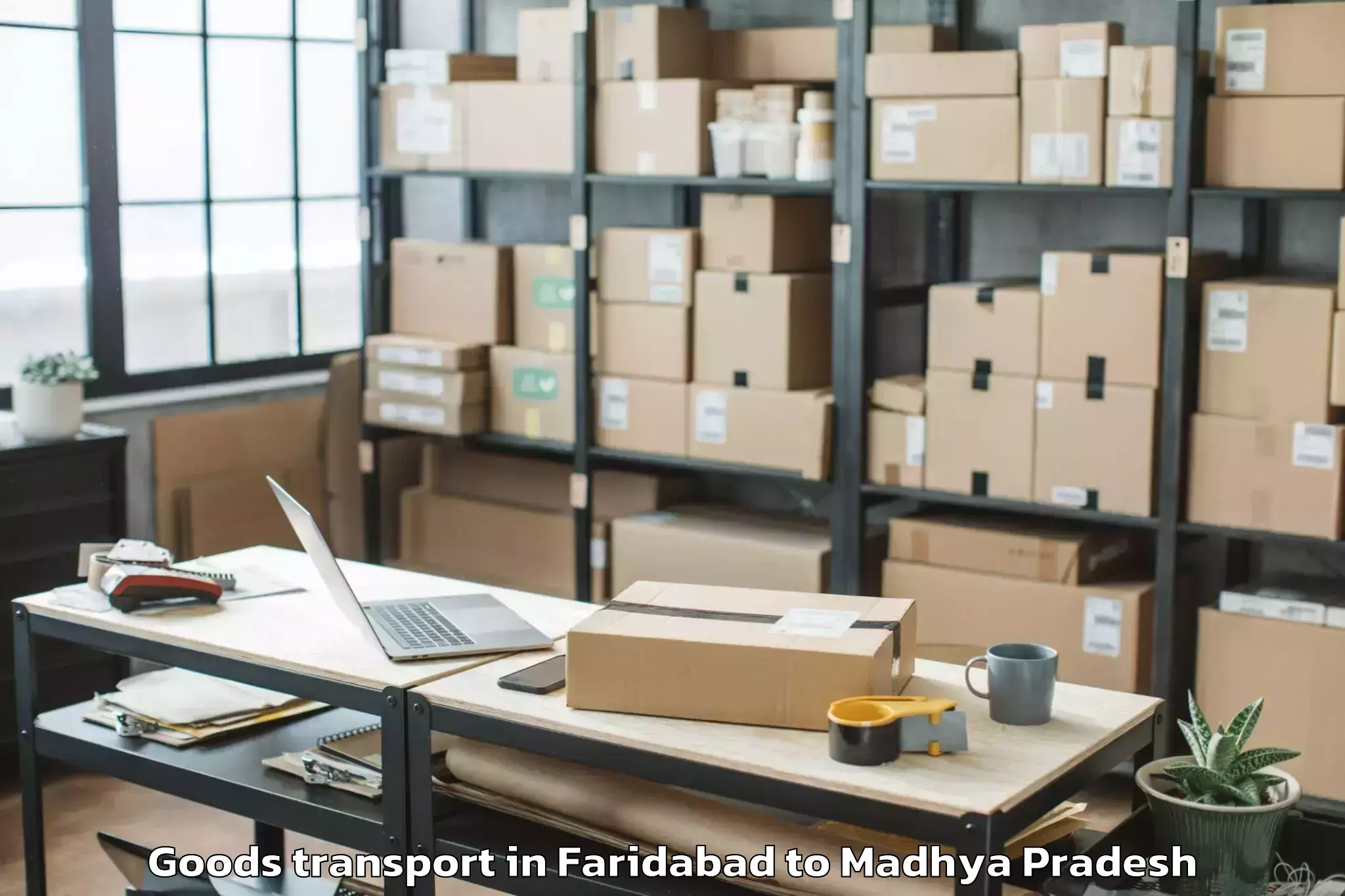 Leading Faridabad to Badod Goods Transport Provider